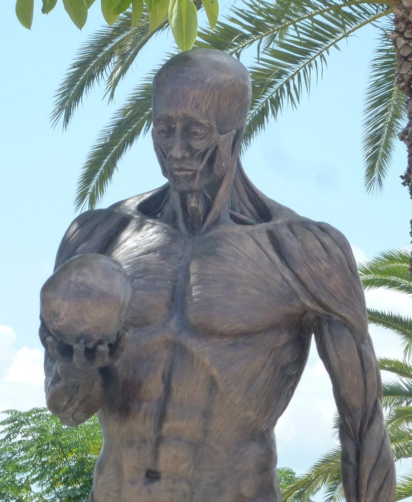 Vesalius' skinned man, Zakynthos (by Guy Cobolet) - 01 (2).jpg